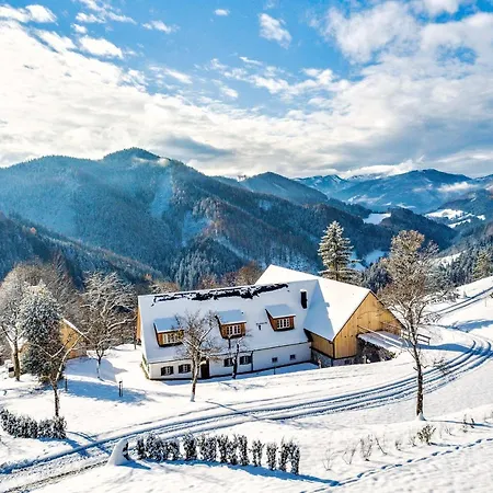 Obersteinriegl 別荘