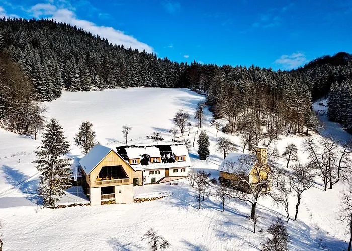 Obersteinriegl Tatil Evi *